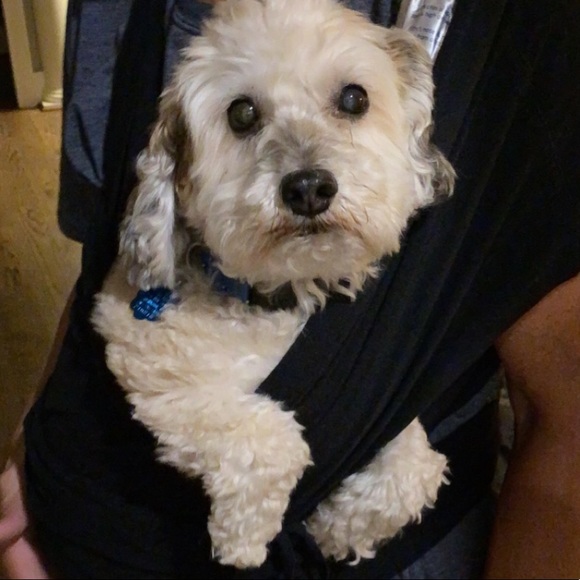 Meet your Posher, Mary - Picture 2 of 2